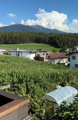 a field of crops with mountains in the background at Villa Silvia in Naz-Sciaves