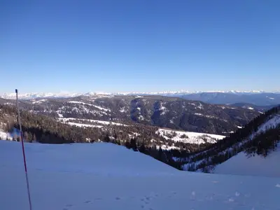 a view of a ski slope with snow and trees at Stofflhof in Proves