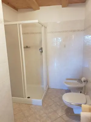 a bathroom with a shower and a toilet at Stofflhof in Proves
