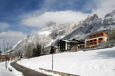 a mountain covered in snow with trees in the foreground at Parkhotel Ladinia in San Vito di Cadore