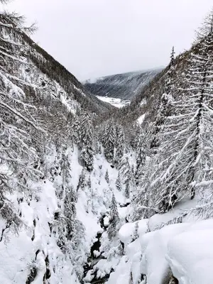 a snow covered hillside with snow covered trees at Appartamento Romantico a Valles in Valles