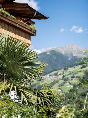 a row of benches with pink flowers in the foreground at Hotel Zirmerhof & Residence in Rifiano