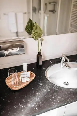 a bathroom counter with a sink and a potted plant at apartments55 in Bressanone