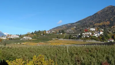a vineyard in the mountains with houses and trees at Hotel Pension Verdorfer in Merano
