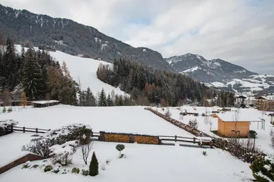 a train in a snow covered field with mountains at Mountain Living Apartment Idylia in Ortisei