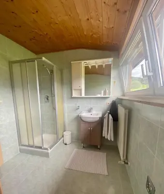 a bathroom with a shower and a sink at Schönhuberhof Apartment Panoramablick in Brunico