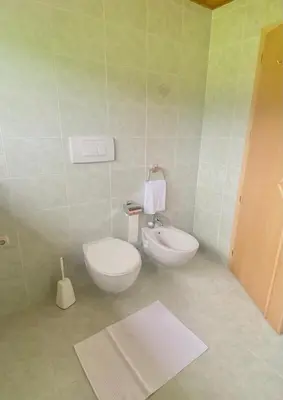 a bathroom with a toilet and a bidet at Schönhuberhof Apartment Panoramablick in Brunico