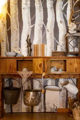 a room with a shelf with toilets and trees on the wall at Hotel Astoria in Fiera di Primiero
