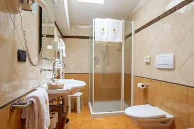 a bathroom with a shower and a toilet and a sink at Hotel Astoria in Fiera di Primiero
