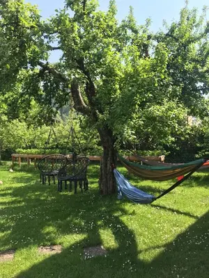 a hammock and chairs under a tree in a park at Dolomitihouse AUNER in Fiera di Primiero