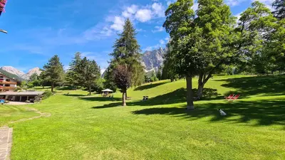 a snow covered yard with houses and a tree at Hotel Menardi in Cortina dʼAmpezzo