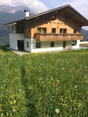 a house on a hill with a field of flowers at Oeberst-hof in Sarntal