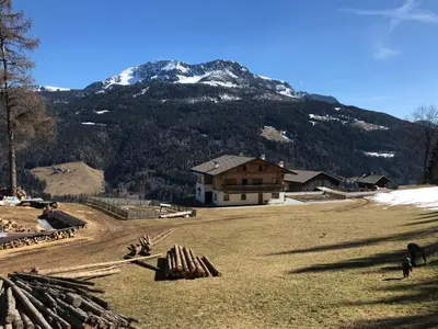 a house in a field with a mountain in the background at Oeberst-hof in Sarntal