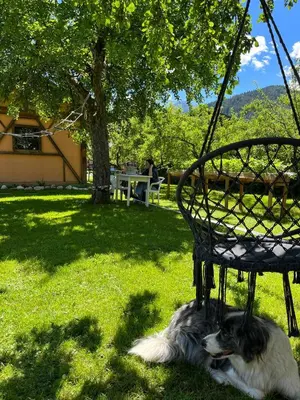 a dog laying in the grass next to a swing at Dolomitihouse LARES in Fiera di Primiero
