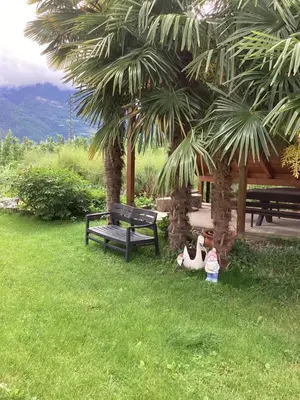 two rubber ducks sitting in the grass next to a bench at Bbmarlene in Bolzano