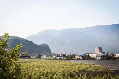 a view of a field with mountains in the background at Bbmarlene in Bolzano