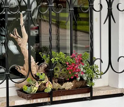 a window box with flowers and a plant at Ameiserhof Guesthouse in Collalbo