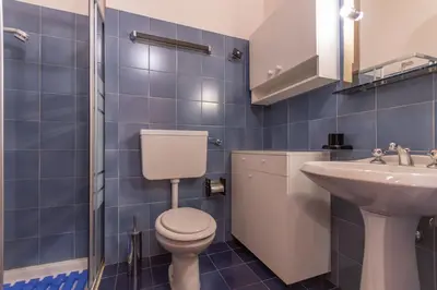 a blue tiled bathroom with a toilet and a sink at Petit Arnica in Selva di Cadore