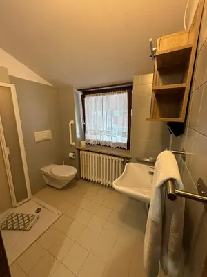 a small bathroom with a toilet and a sink at Hotel Miravalle in Imer