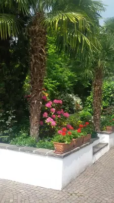 a garden with pink flowers and a palm tree at Hotel Maximilian in Merano
