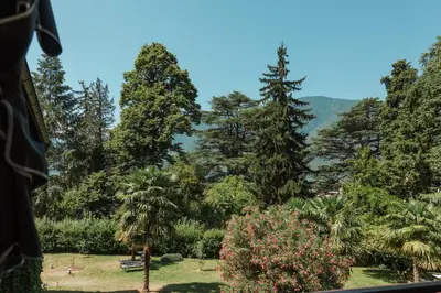 a view from a bus of a garden with trees at Pool House Merano in Merano