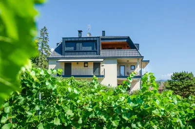 a house seen through a bush at Stürz Ferienwohnungen in Termeno