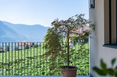 a plant in a pot in front of a balcony at Stürz Ferienwohnungen in Termeno