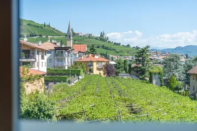 a hillside with a vineyard with houses and a town at Stürz Ferienwohnungen in Termeno