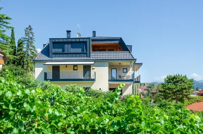 a house on a hill with green vegetation at Stürz Ferienwohnungen in Termeno