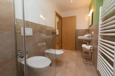 a bathroom with a toilet and a glass shower at Unterwegerhof in Tires