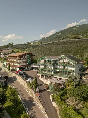 an aerial view of a town with a vineyard at Pension Höfler - Fernblick in Schenna