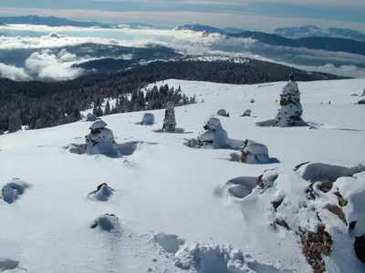 a snow covered mountain with trees on top of it at Rastlhof in Meltina