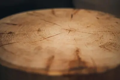 a close up of a wooden stump of a tree trunk at Aparthotel Bacher in Bressanone