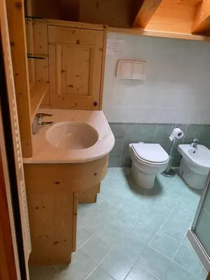 a bathroom with a sink and a toilet at Precumon 16/5 in Arabba