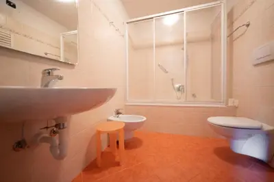 a bathroom with a toilet and a shower at Cesa Pecedel in Canazei