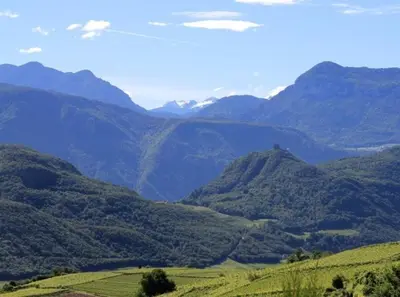 a view of a valley with mountains in the background at Millenniumshof in Caldaro