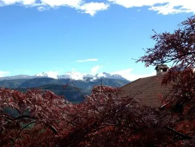 a house on top of a roof with mountains in the background at Millenniumshof in Caldaro