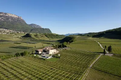 an aerial view of a house in a vineyard at Ansitz Battisti Suites in Caldaro