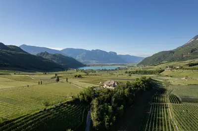 an aerial view of a vineyard with a lake and mountains at Ansitz Battisti Suites in Caldaro