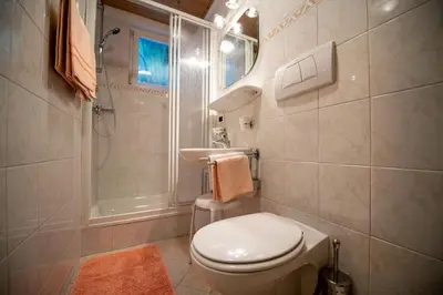 a bathroom with a toilet and a sink and a shower at Apartments Vintlana in Selva