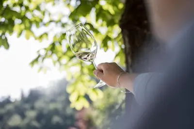 a woman is holding a glass of wine at Schmitte am Sonnenwirtsplatz Eppan in South Tyrol, perfect starting point for bike and hike in Appiano sulla Strada del Vino