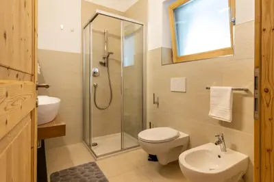 a bathroom with a shower and a toilet and a sink at Alpine View Plan de Corones in Sorafurcia