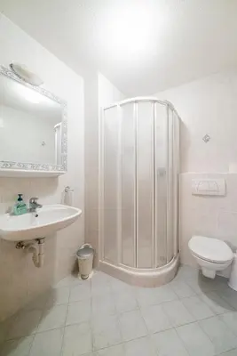 a bathroom with a shower and a sink and a toilet at Seeberhof in Racines
