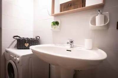 a bathroom with a sink and a washing machine at Cesa Alpes 3 in Campitello di Fassa