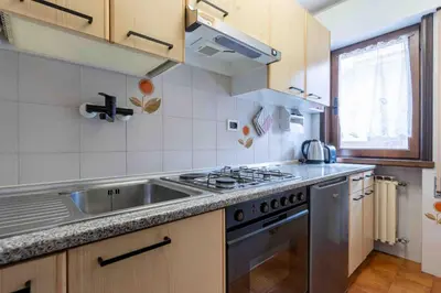 a kitchen with a sink and a stove at Cesa Alpes 3 in Campitello di Fassa