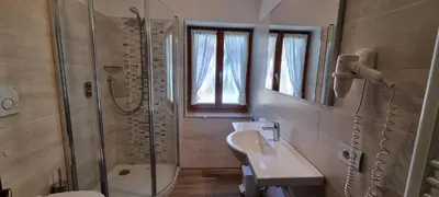 a bathroom with a shower and a sink and a toilet at Cesa Fortunato in Canazei
