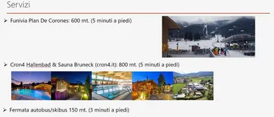 a screenshot of a webpage of a ski resort at Hernegg Apartment in Riscone