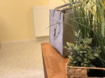 a room with a table and a potted plant at Hernegg Apartment in Riscone