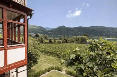 a view from a window of a vineyard at Smart Suites Kaltern - Apartments am Kalterer See in Caldaro