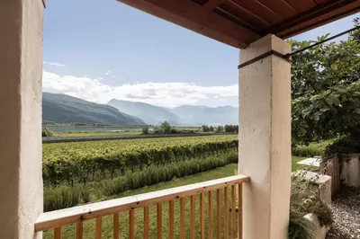 a view of a vineyard from the porch of a house at Smart Suites Kaltern - Apartments am Kalterer See in Caldaro